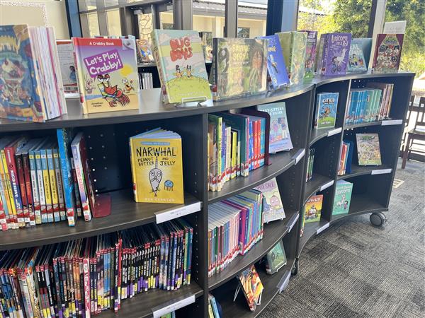 Library Book shelves with graphic novels